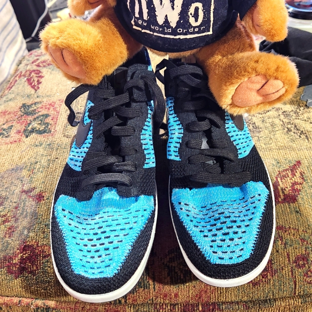 Nike Dunk Low Flyknit